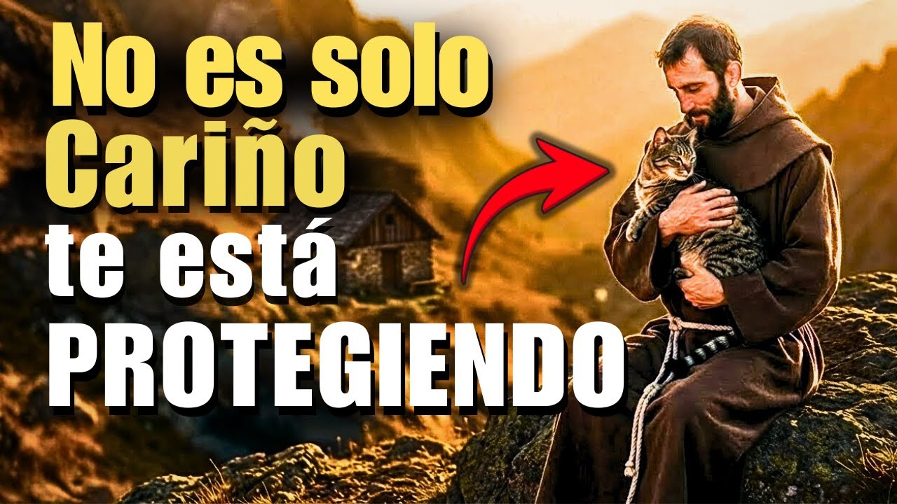 San Francisco revela. Por qué tu gato insiste en que lo cargues (4 Señales de Protección)