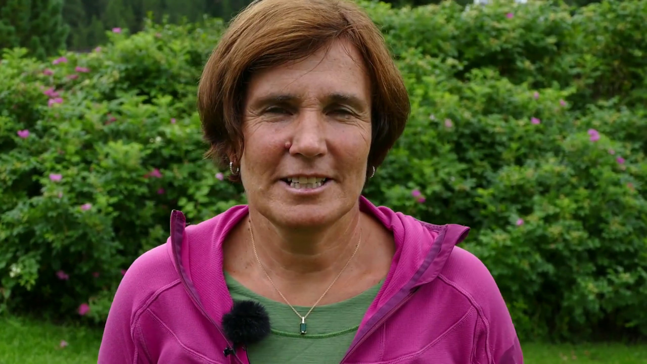 Urlaubsempfehlungen der Familie Kirchner in Bramberg am Wildkogel
