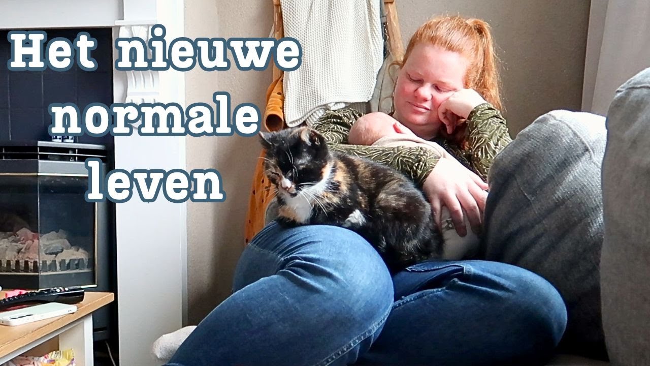 Het nieuwe normaal met een tweede kindje || Elyse Nesia