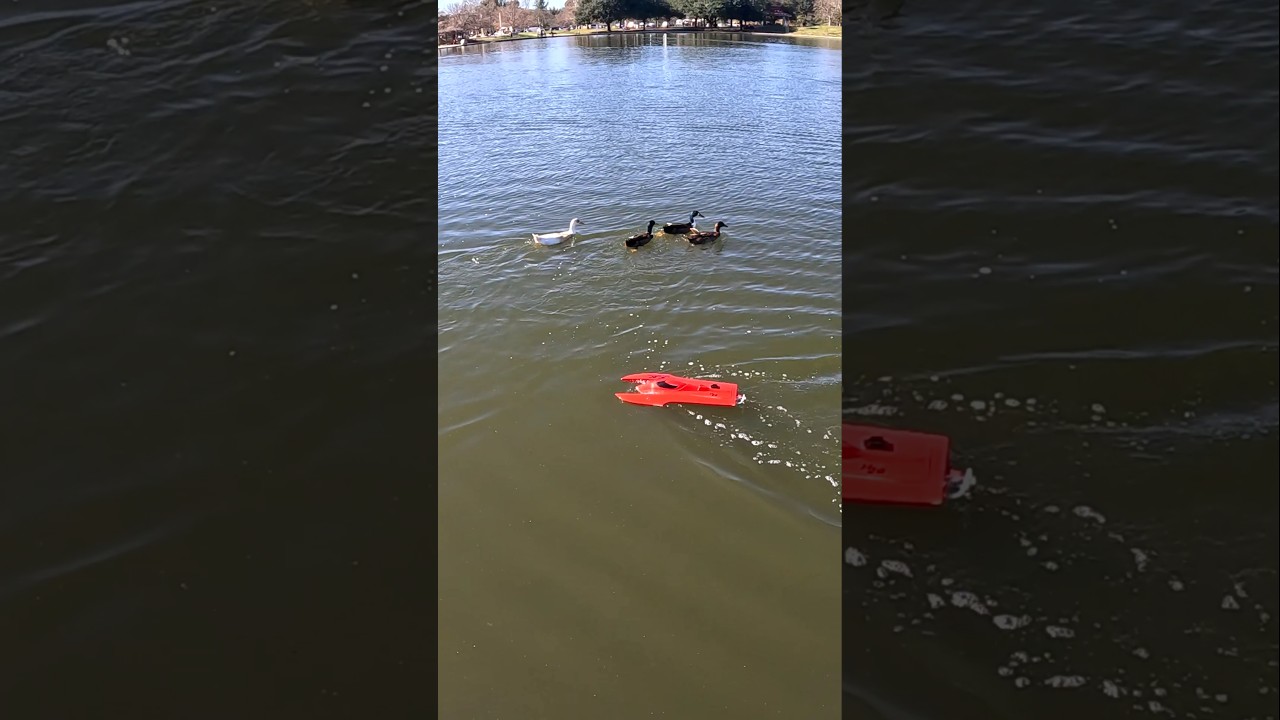 MADE IN USA RC BOAT 