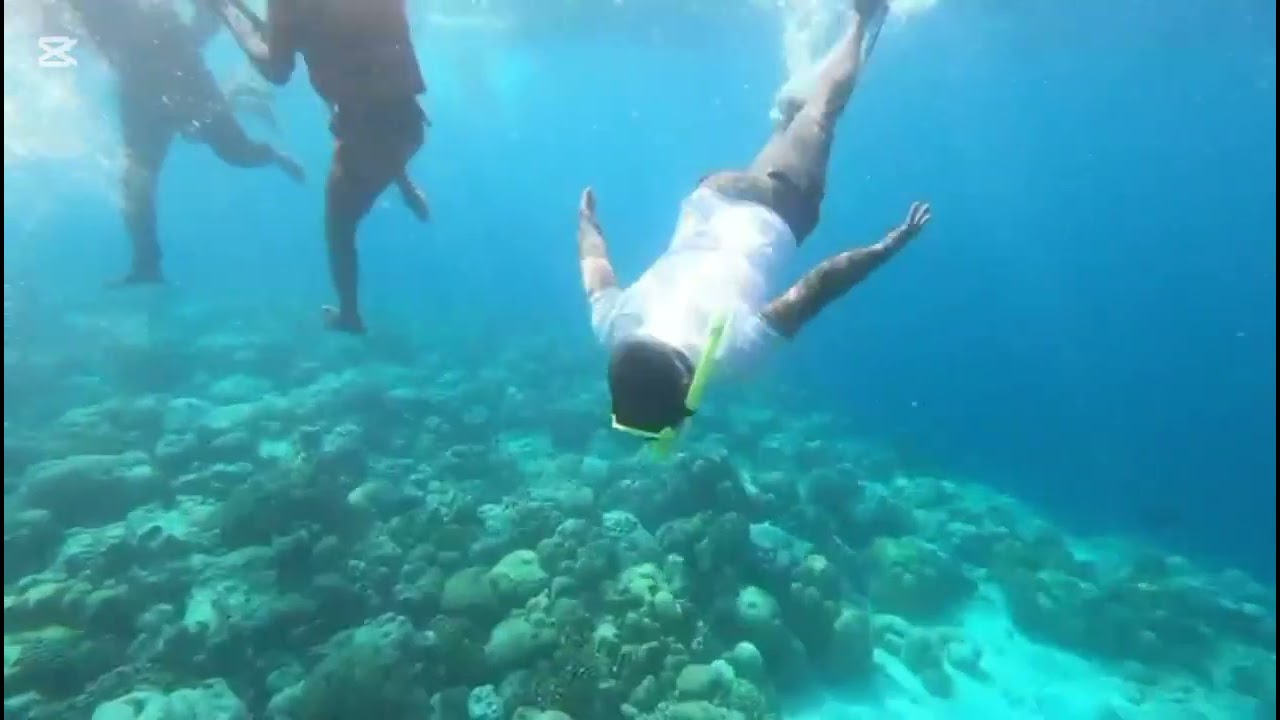 @Maldivesscene-r9x @MaldivesArena @SEA @