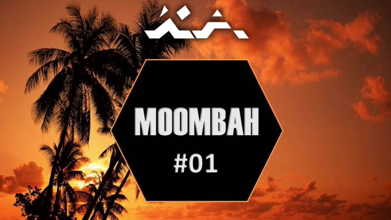 Moombahton Party Mix | Best Moombahton Tracks