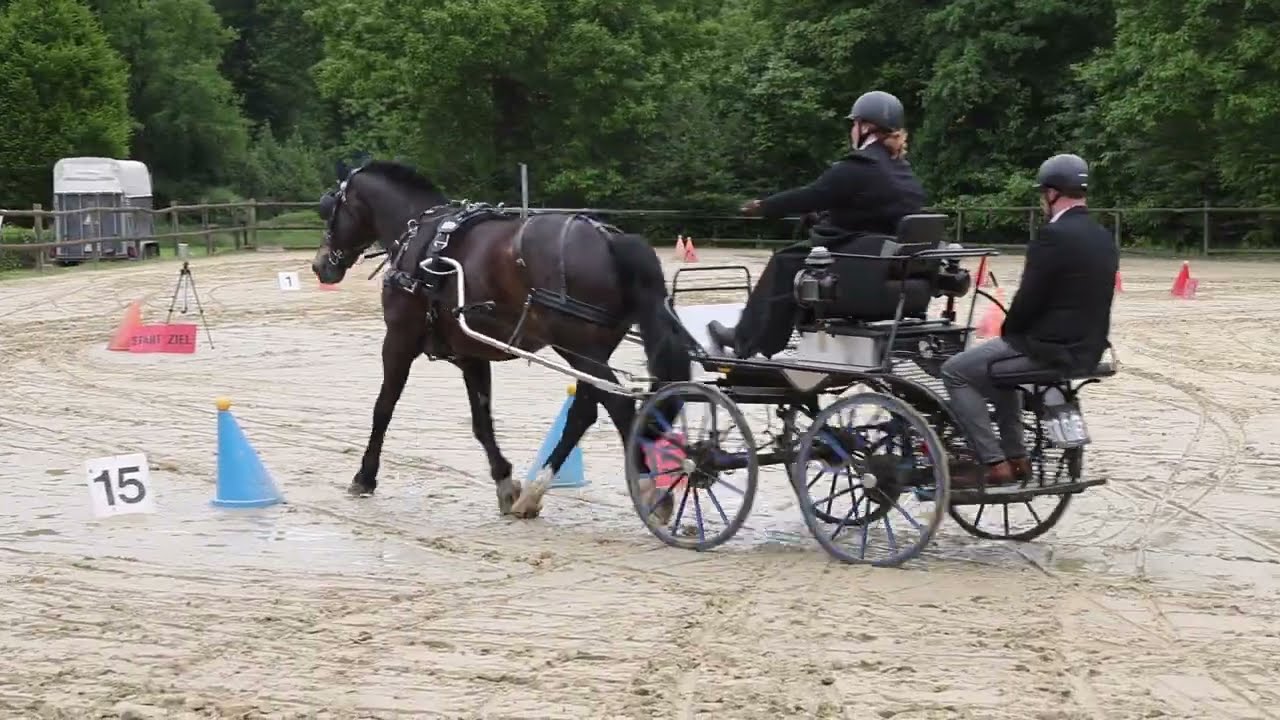 Fahrturnier Reken 24.5.2025 (Kegel)