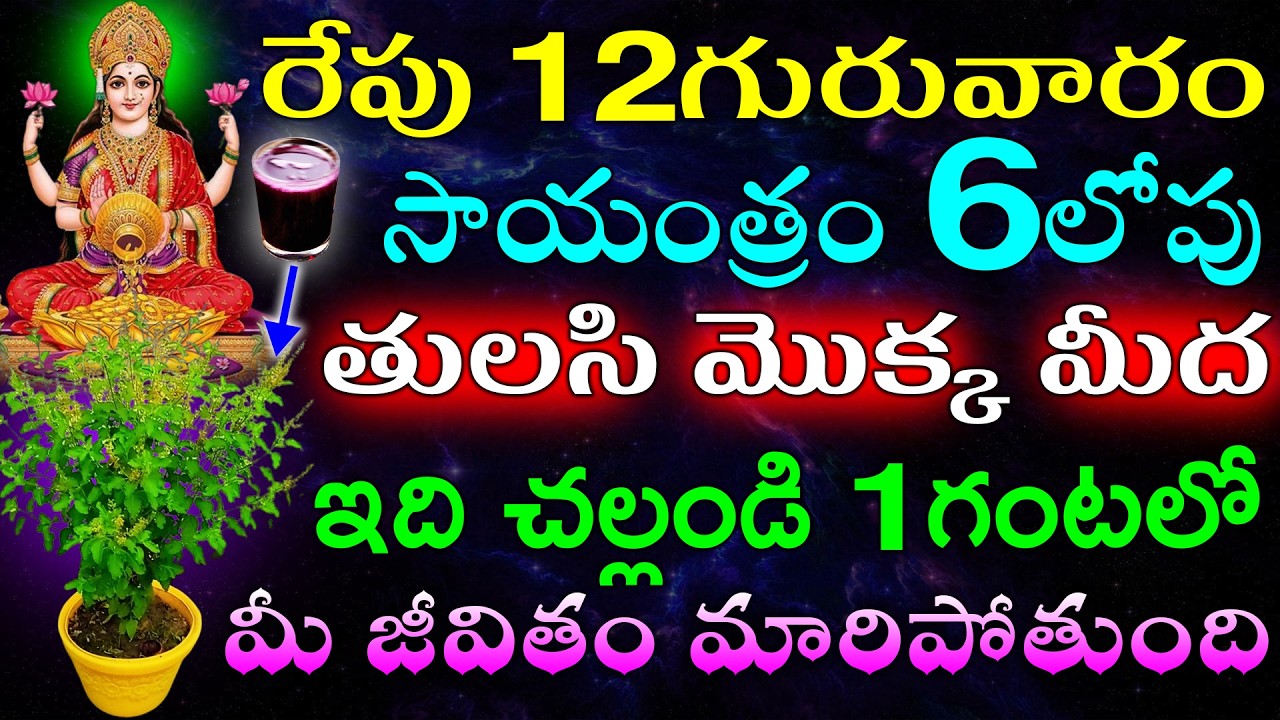 రేపు 12గురువారం సాయంత్రం 6లోపు తులసి మొక్క మీద ఇది చల్లండి 1గంటలో మీ జీవితం మారిపోతుంది