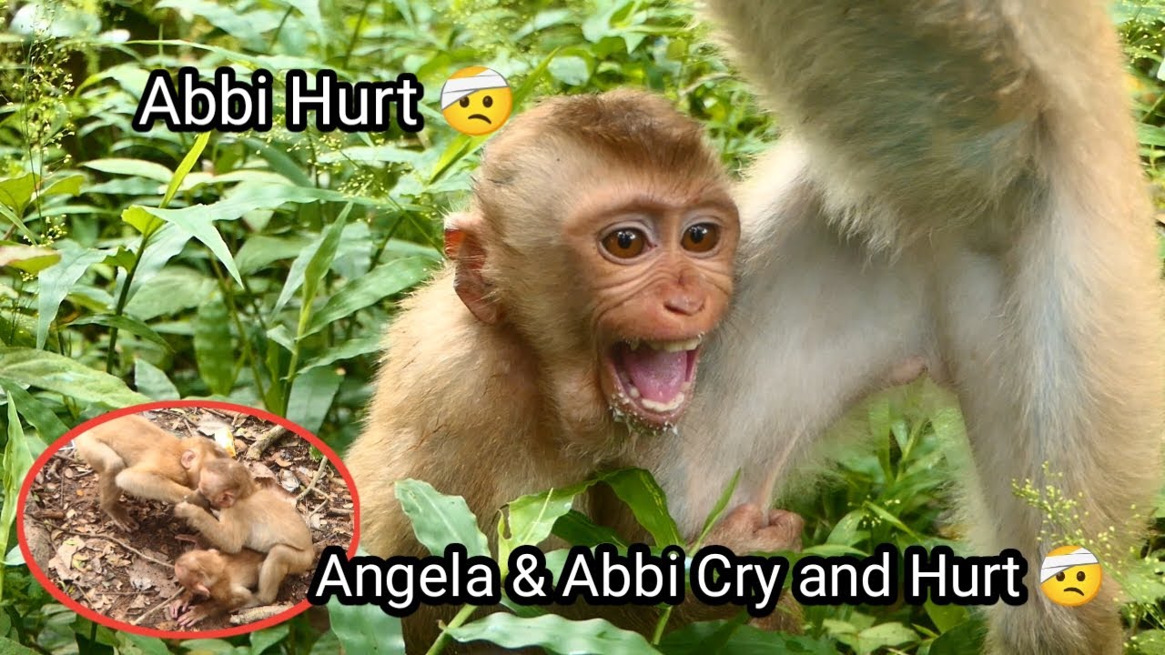 Angela and Abbi were severely beaten by lira, but Abbi tried to help his sister...