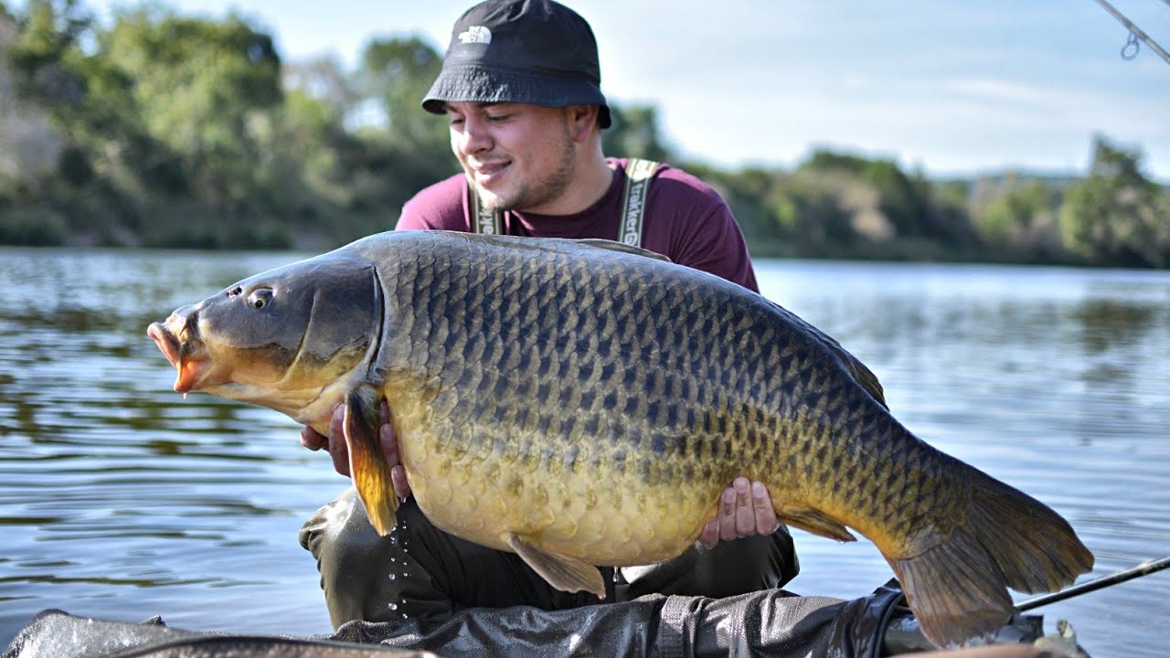 River Carpfishing by Nature. #3