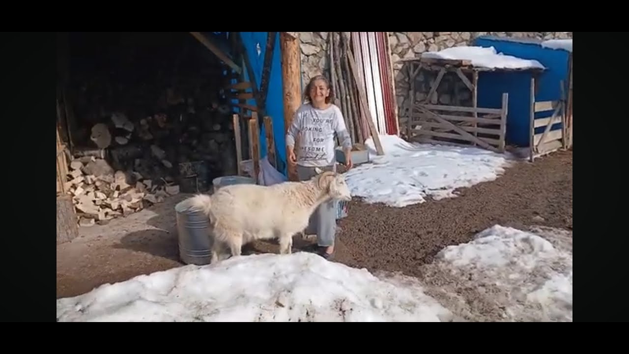 Günlük hayatımızdan bir bölüm