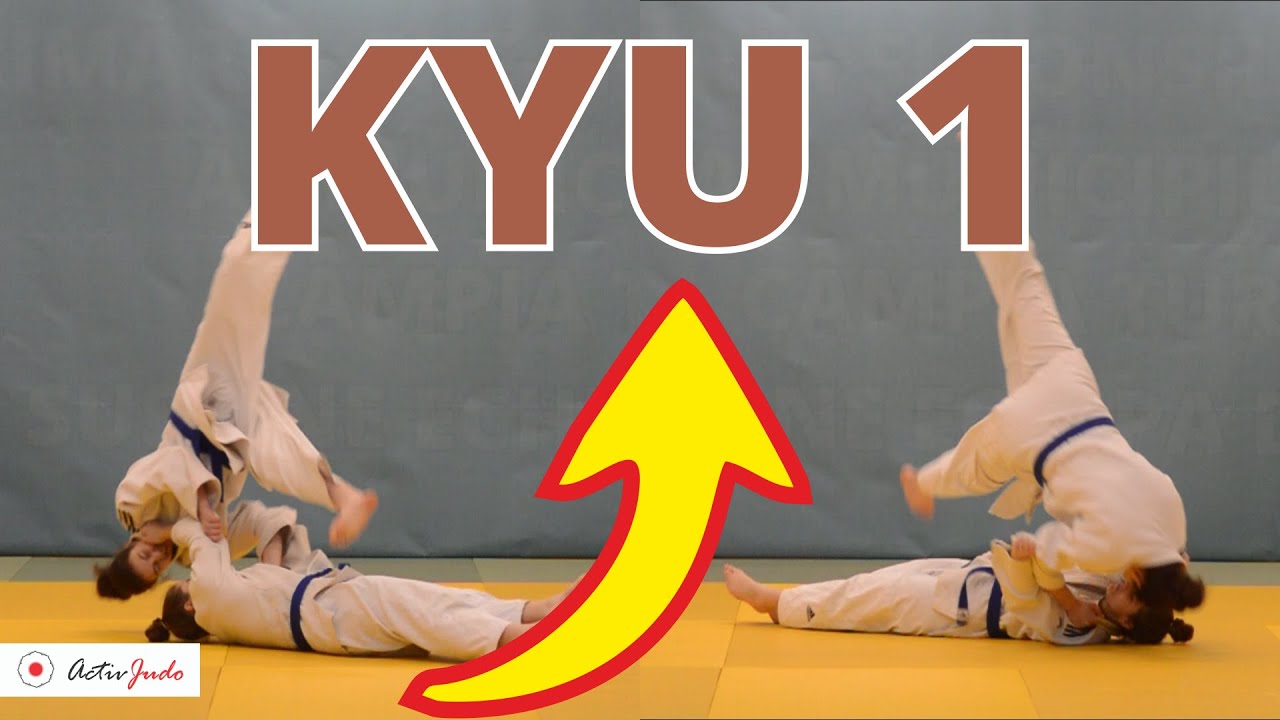 Judo - BROWN Belt !?!
