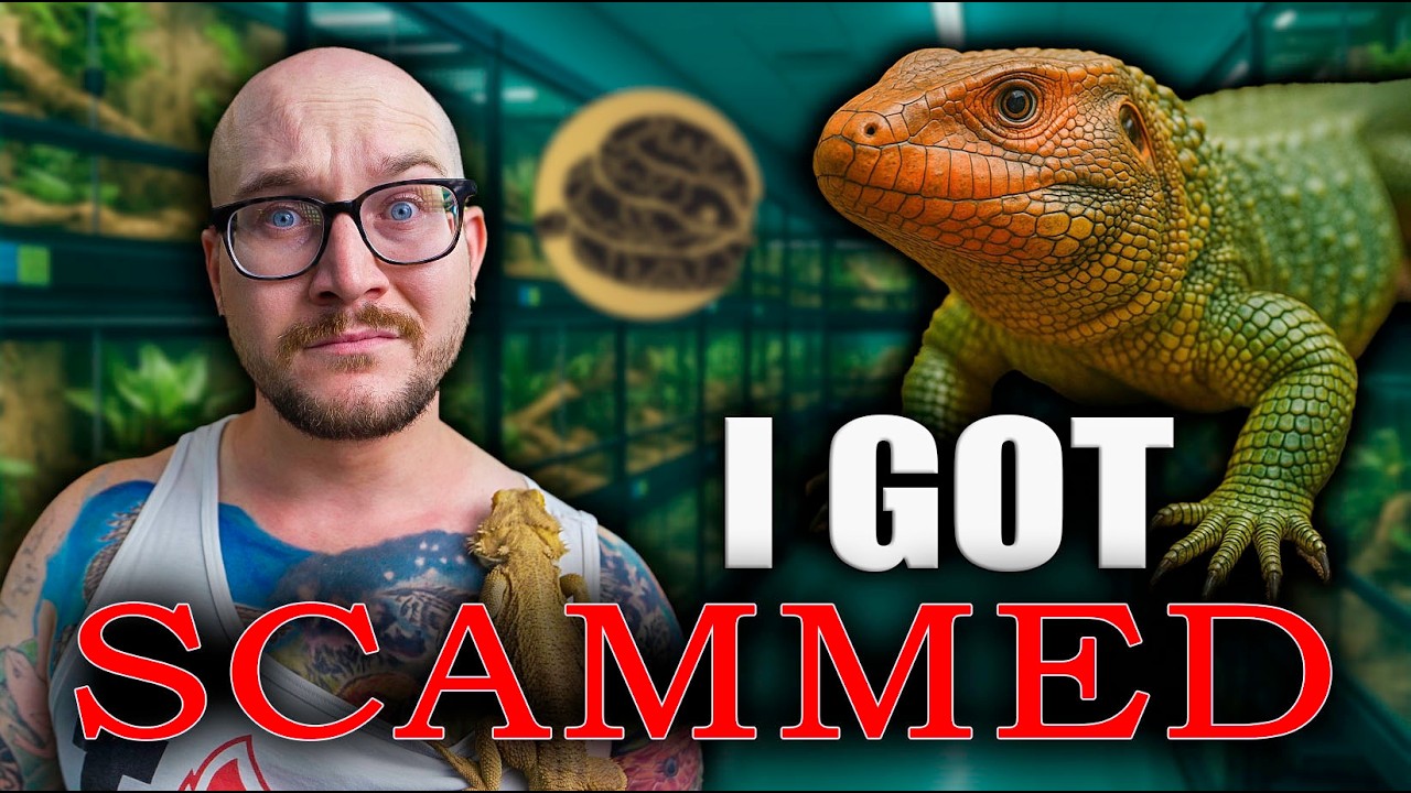 Avoid These 5 Reptile Scams!