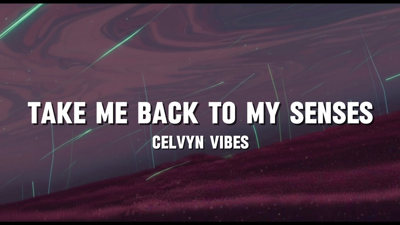 Take Me Back To My Senses (Official Lyric Video) | Celvyn Vibes