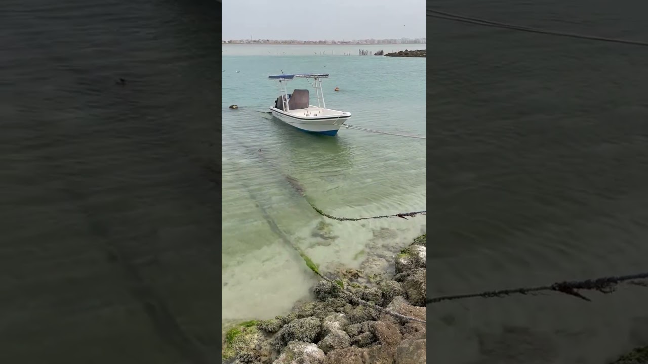🌊 #bahrain #sea #beachviews #fishing #fishingport #india #kerala #fish #boat #bahrainbeach