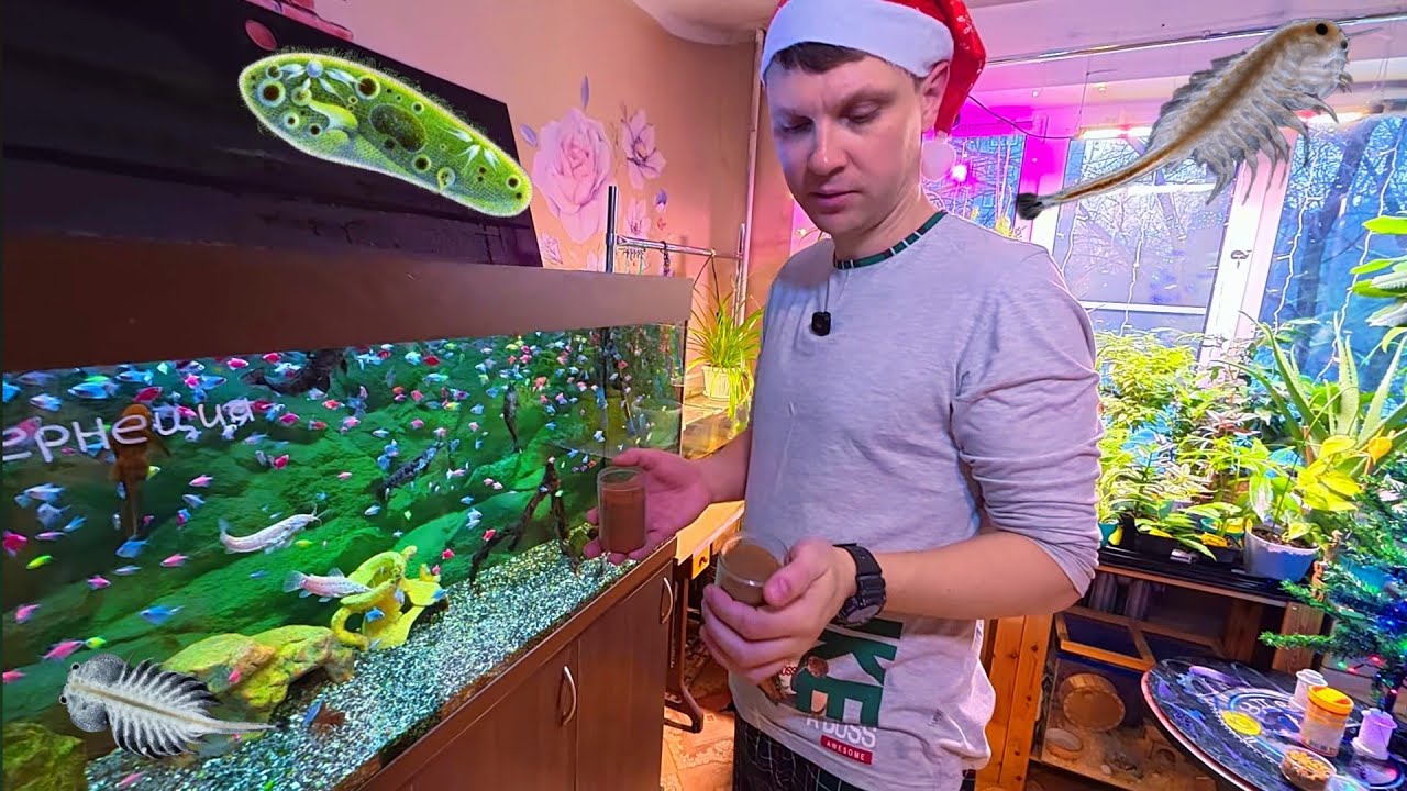 ЧЕМ Я КОРМЛЮ СВОИХ АКВАРИУМНЫХ РЫБОК