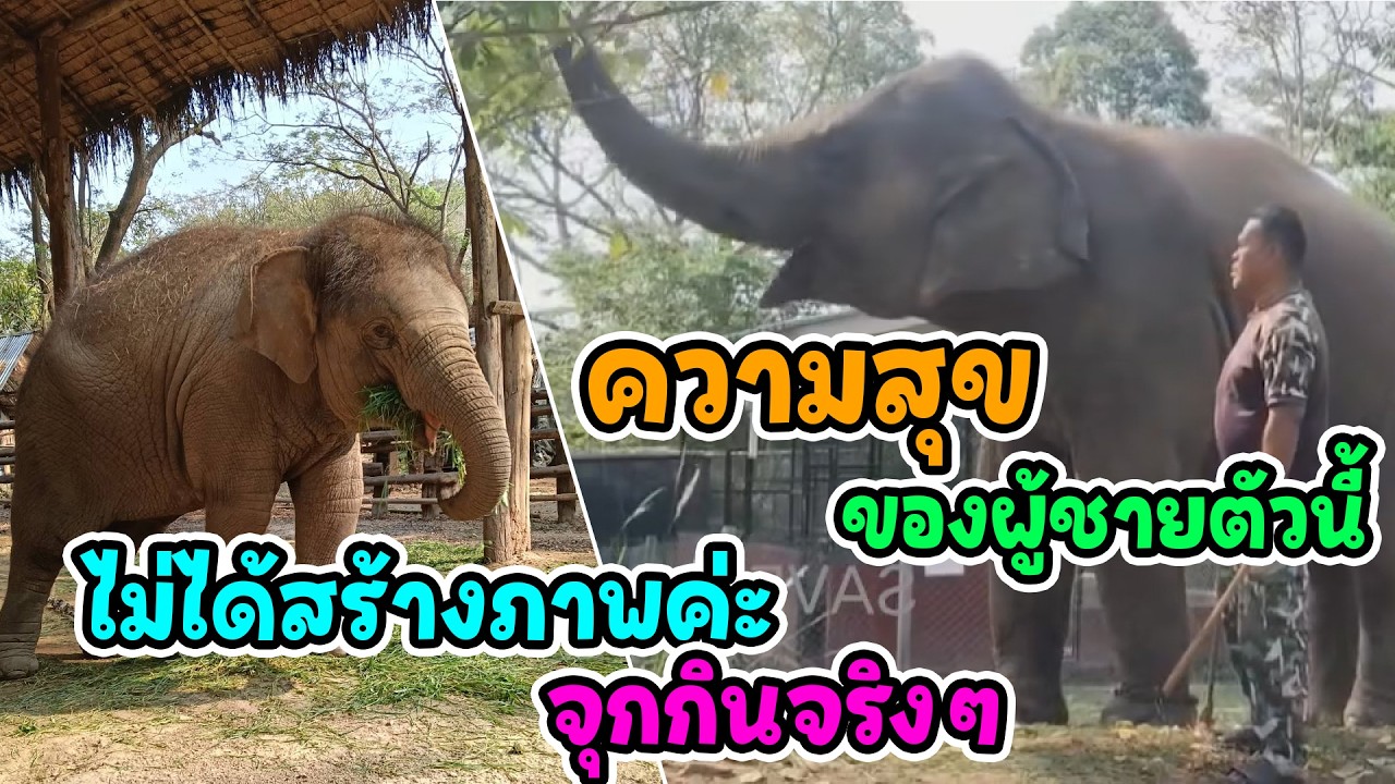 อัปเดตชีวิต