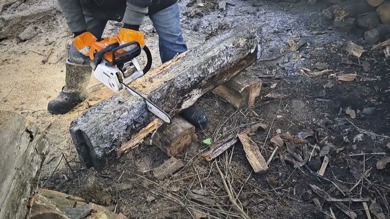 БЕНЗОПИЛА STIHL MS 211 #garden #chainsaw #chainsawman #stihl #stihlchainsaw