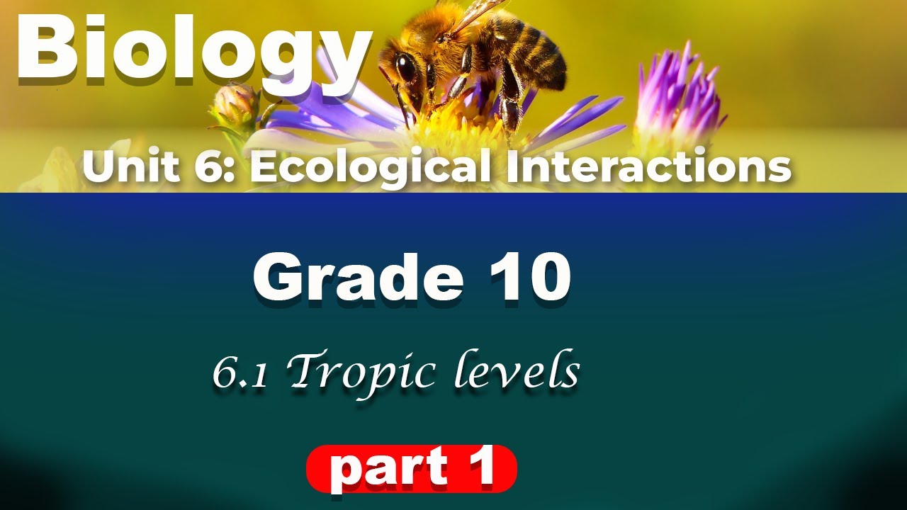 Grade 10 biology unit 6 part 1 | Ecological Interactions | tropic levels