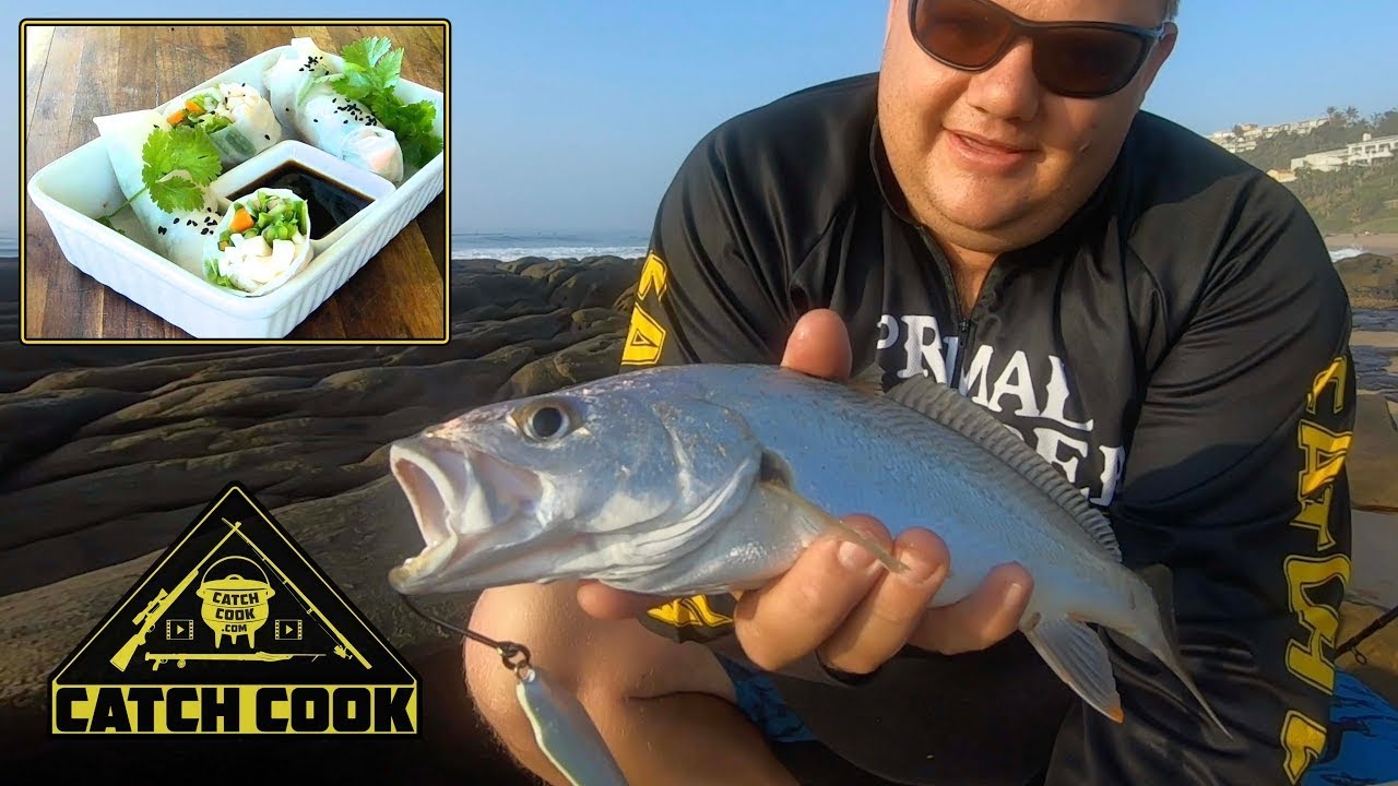 Undersized catch? Cook your bait! Squid spring rolls - Durban, SA