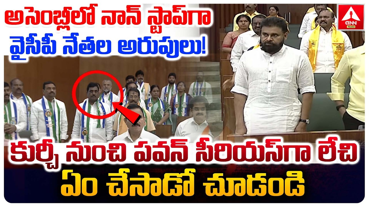 అసెంబ్లీలో నాన్ స్టాప్ గా వైసీపీ నేతల అరుపులు..! | YCP Leaders Vs Deputy CM Pawan Kalyan |ANN Telugu