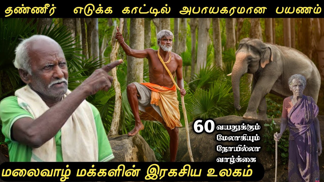 பழங்குடி மக்களின் ரகசிய உலகம் The secret world of tribal people 