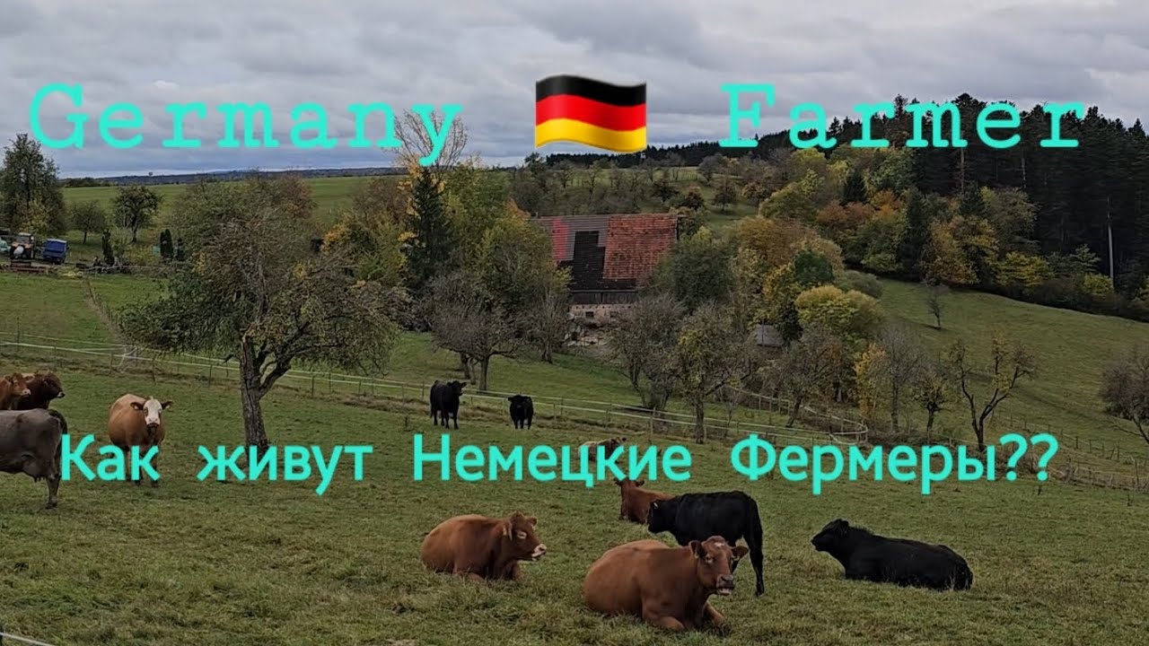 Germany 🇩🇪 Balingen, Как живут Немецкие Фермеры?