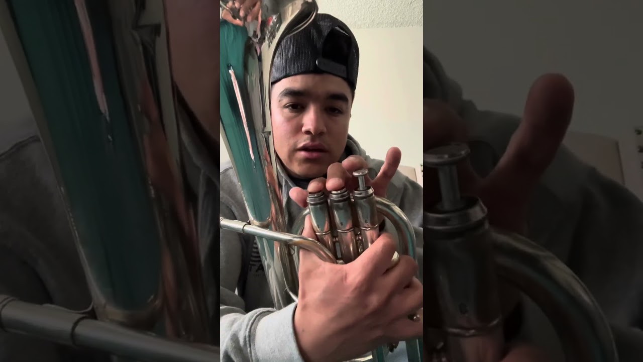 (TUTORIAL) La Ardilla adornos para Armonía 🔥