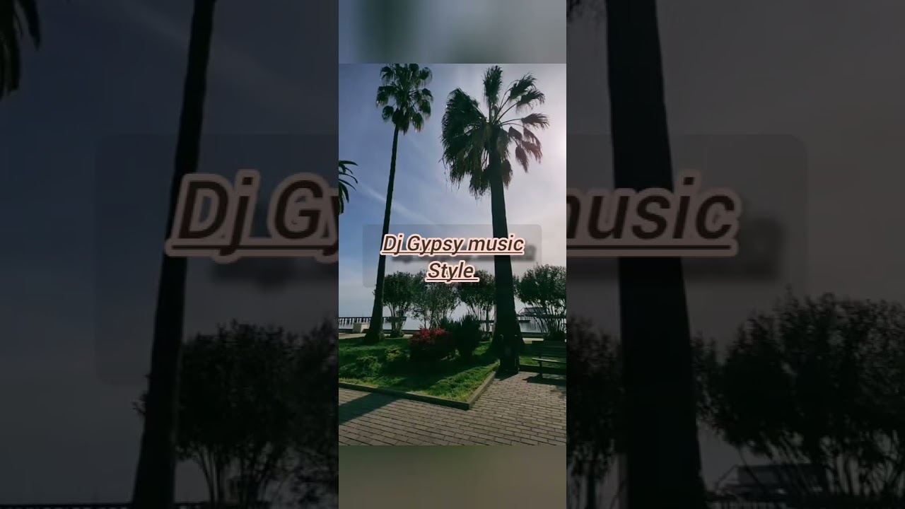 Dj Gypsy music Style - кавер. Сухуми 
