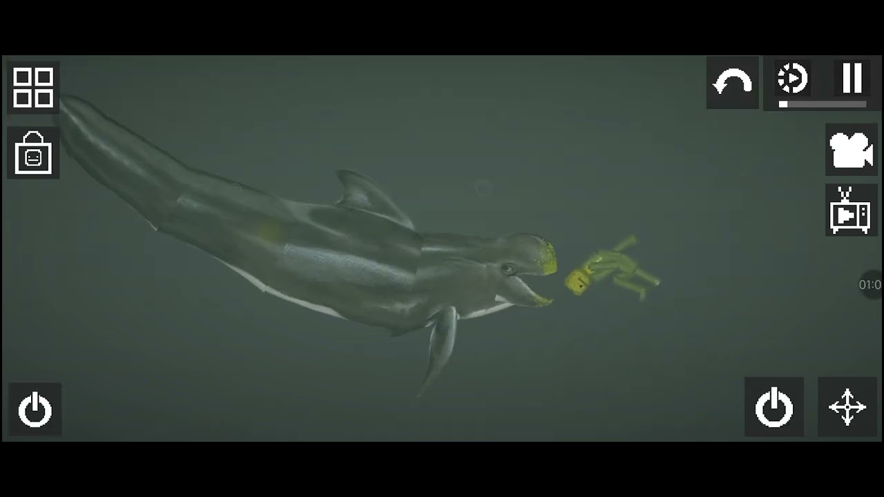 Pilot whale mod for melon playground