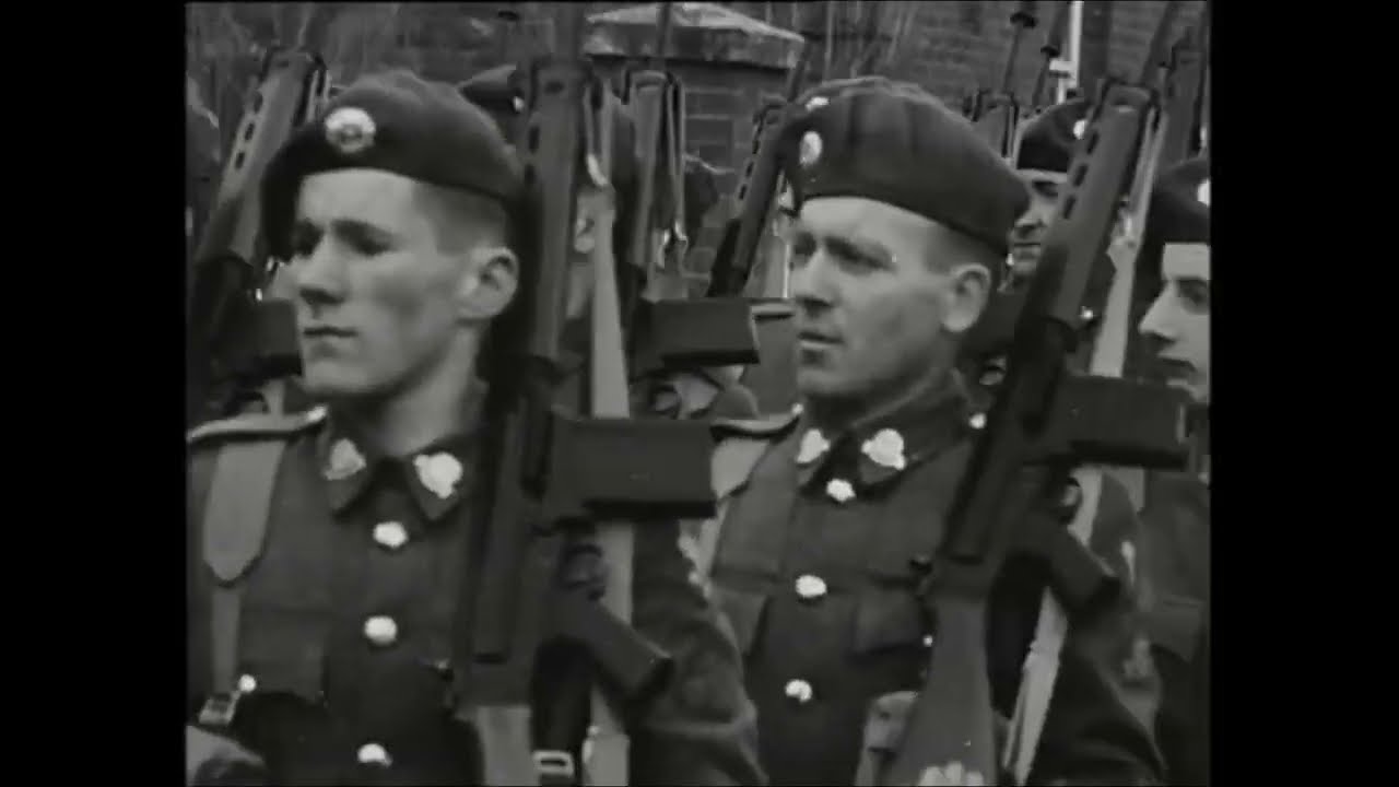 How Big is Ireland's Army? 1965
