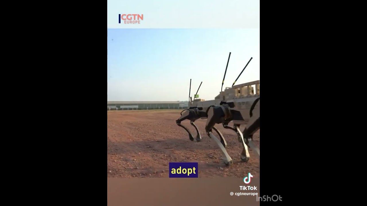 The Chinese Military’s Latest Innovation- Robotic Wolves