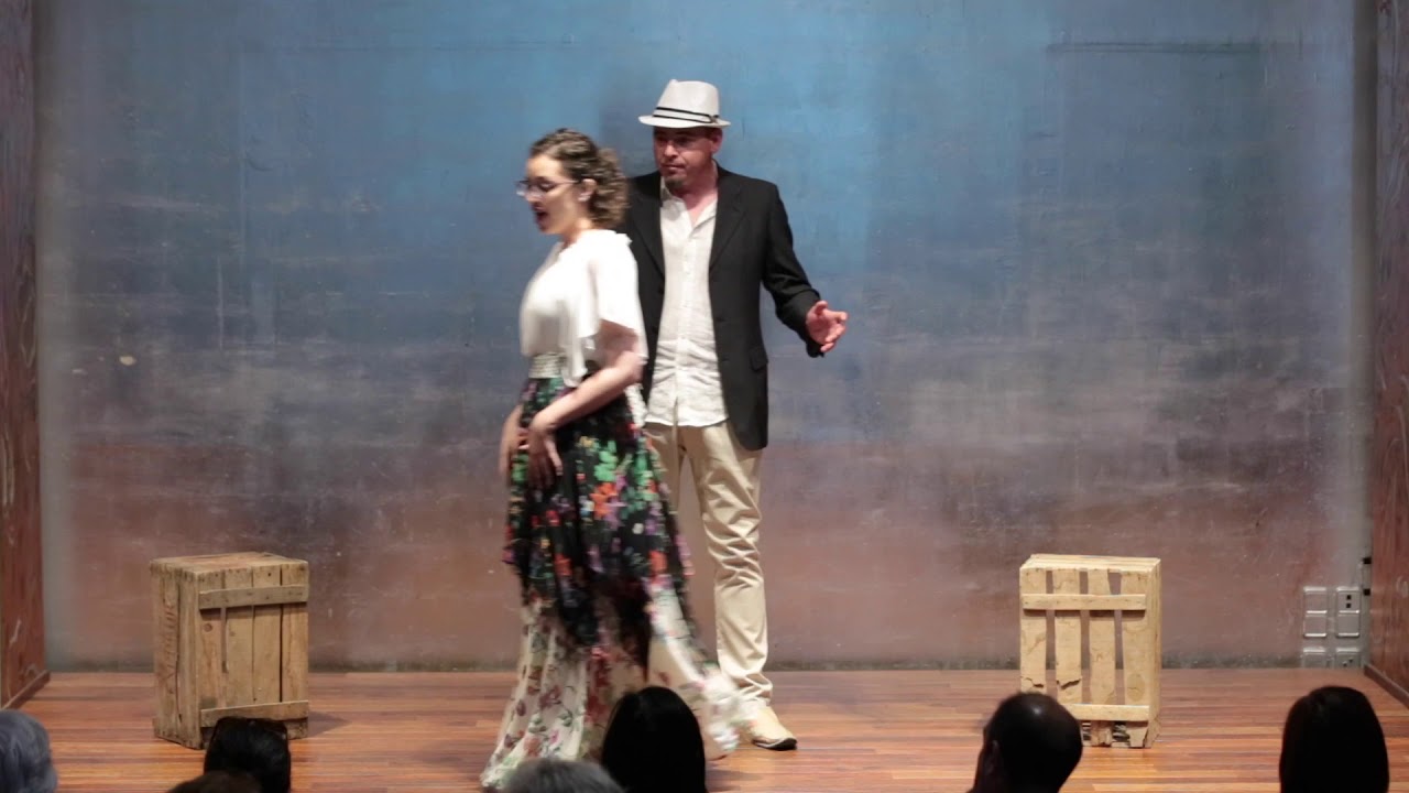 Como sen va contento - L’elisir d’amore (Donizetti)