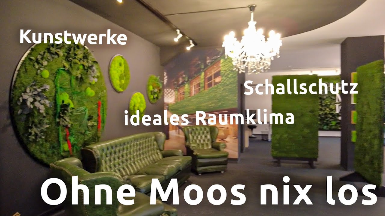 Moos an der Wand - und das gewollt. Die besten Moosbilder und -gestaltungen