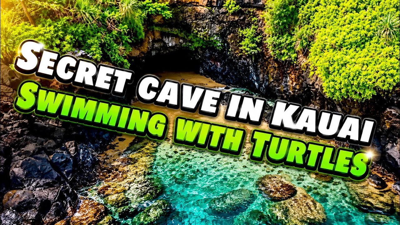 Secret Cave in Kauai - Swimming with Turtles in Kauai at Secret Location #greenseaturtle #kauai