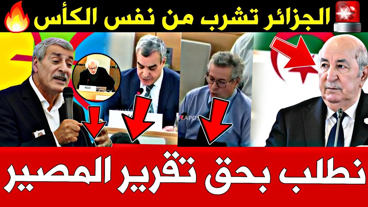 🔥 القبائليون يفجرونها💥 : نريد حق تقرير المصير! 🇩🇿💥..في الأمم المتحدة وبحضور الجزائر