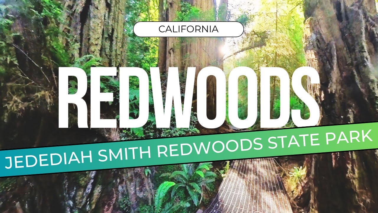 JEDEDIAH SMITH REDWOODS STATE PARK