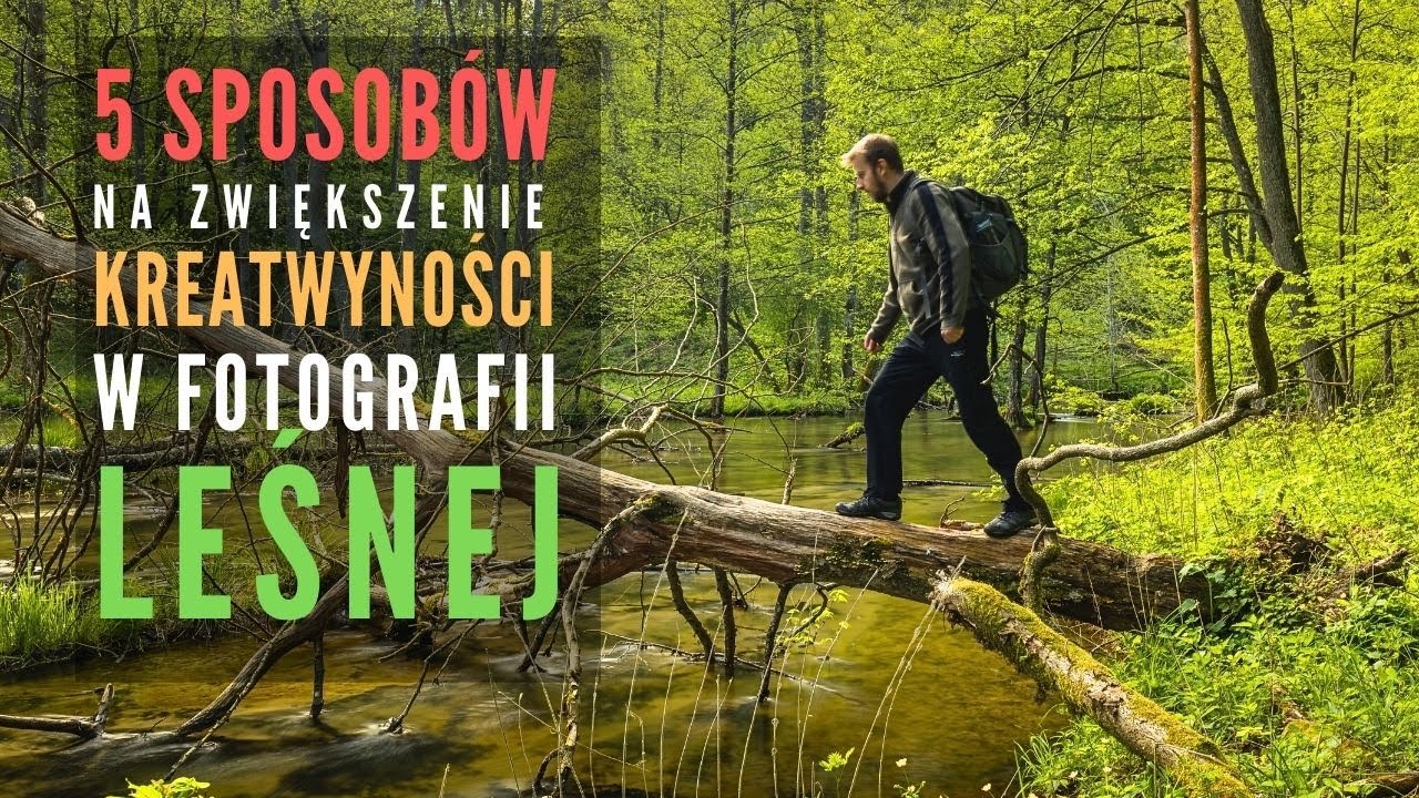 Jak Lepiej Fotografować Las? - Moje 5 Porad - Nauka Fotografii Krajobrazowej
