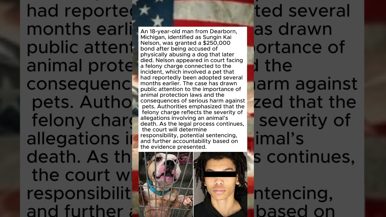 18-Year-Old Faces Felony Charge After Dog Dies in Abuse Case #Shorts #AnimalJustice #Dog