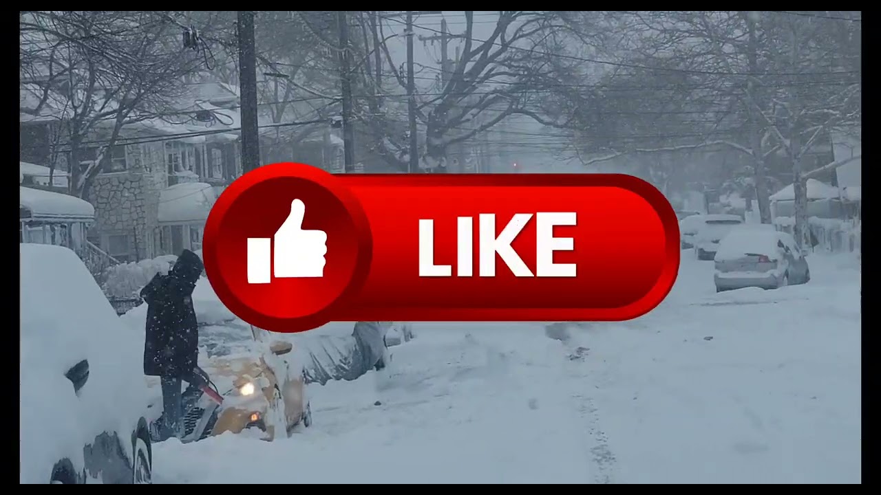 Lockdown in the bronx/  snow stom