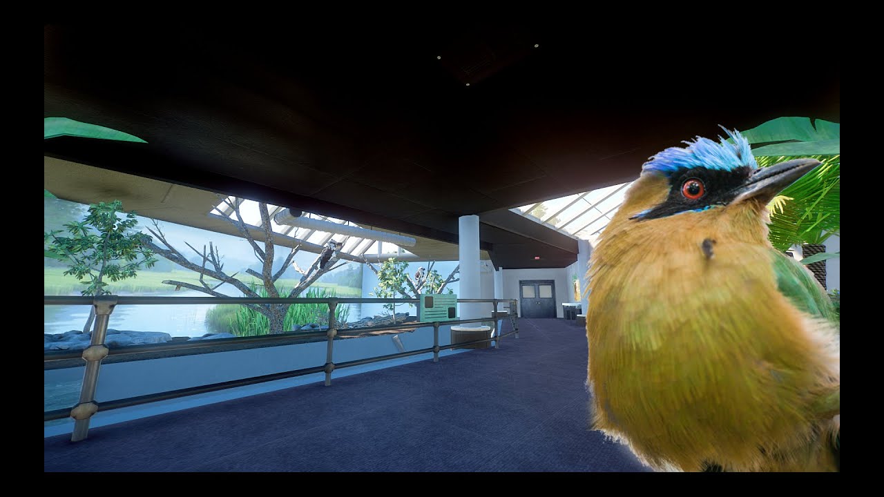 Bird House Marshland Exhibit | Planet Zoo | Thorton Hills Zoo