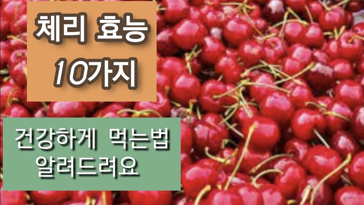 불면증에 좋은 체리 효능 확인하고 드세요