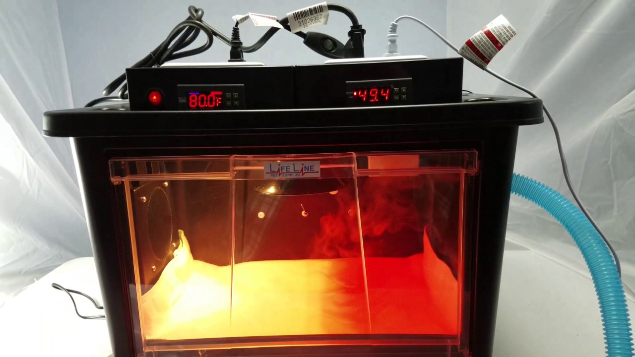 Digital Humidity Setup for our incubators