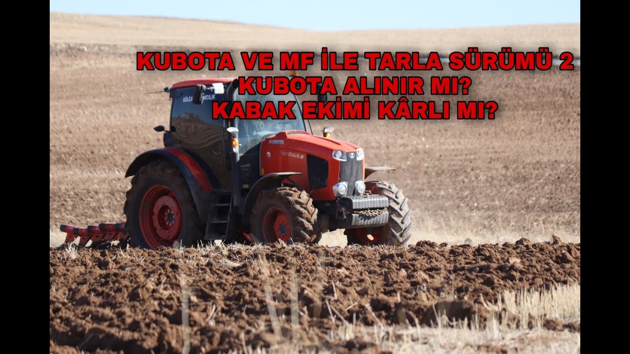 TARLA SÜRÜMÜ 2 | KUBOTA VE MF İLE SÜRÜME DEVAM | KUBOTA ALINIR MI? | KABAK YETİŞTİRME AYRINTILARI