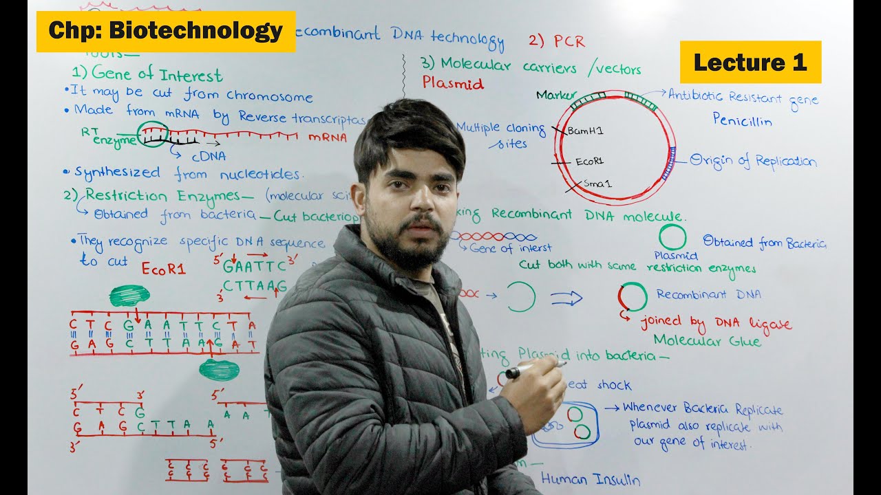 Gene Cloning | Recombinant DNA Technology | Video 1
