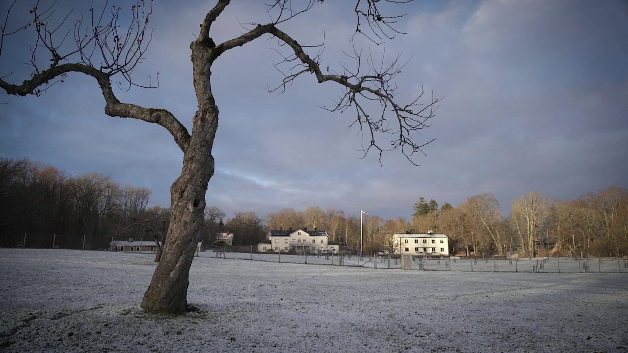 Kalla fakta: Slottsherren - TV4