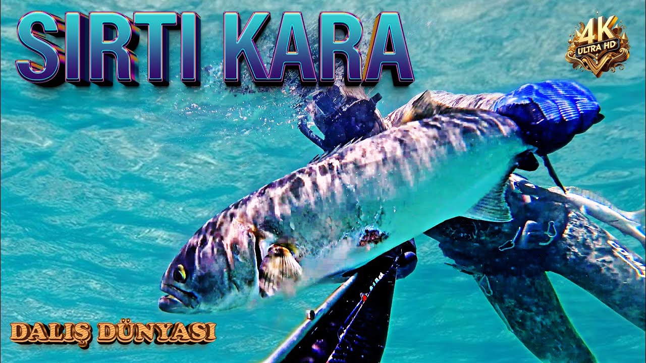 Marmara Denizi&rsquo;nde zıpkınla balık avı! / Kara kıyı avları/ Sesli anlatım/Alt yazı se&ccedil;enekleri