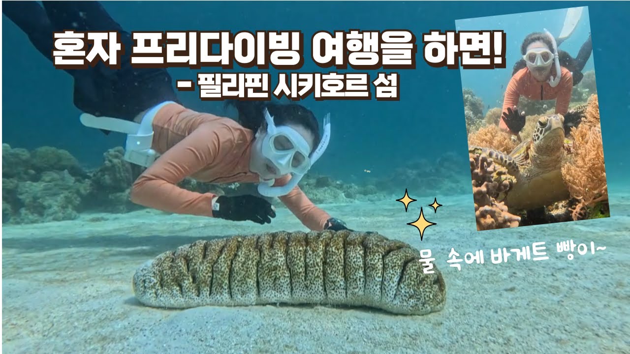 혼자 프리다이빙 여행을 하면! 필리핀 시키호르 사왕포인트