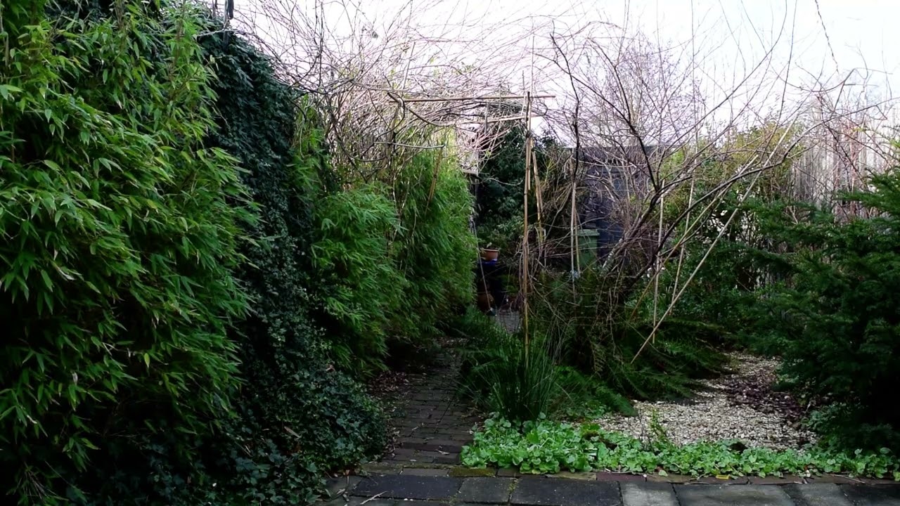 The boring Garden 