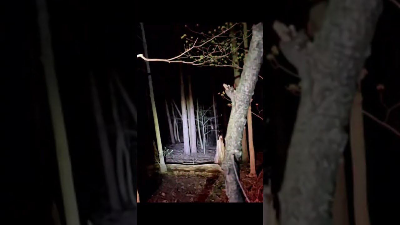 #Paranormal police on patrol #creepy voices  #ghost #cryptids