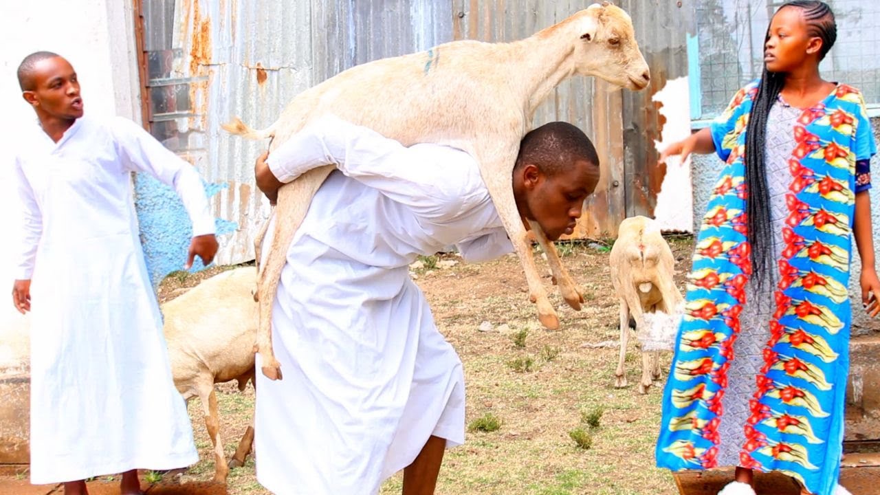Effects Ya kuiba mbuzi Mombasa