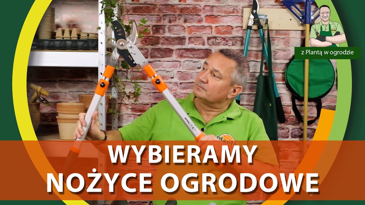 Jak wybrać nożyce do gałęzi - Z PLANTĄ W OGRODZIE