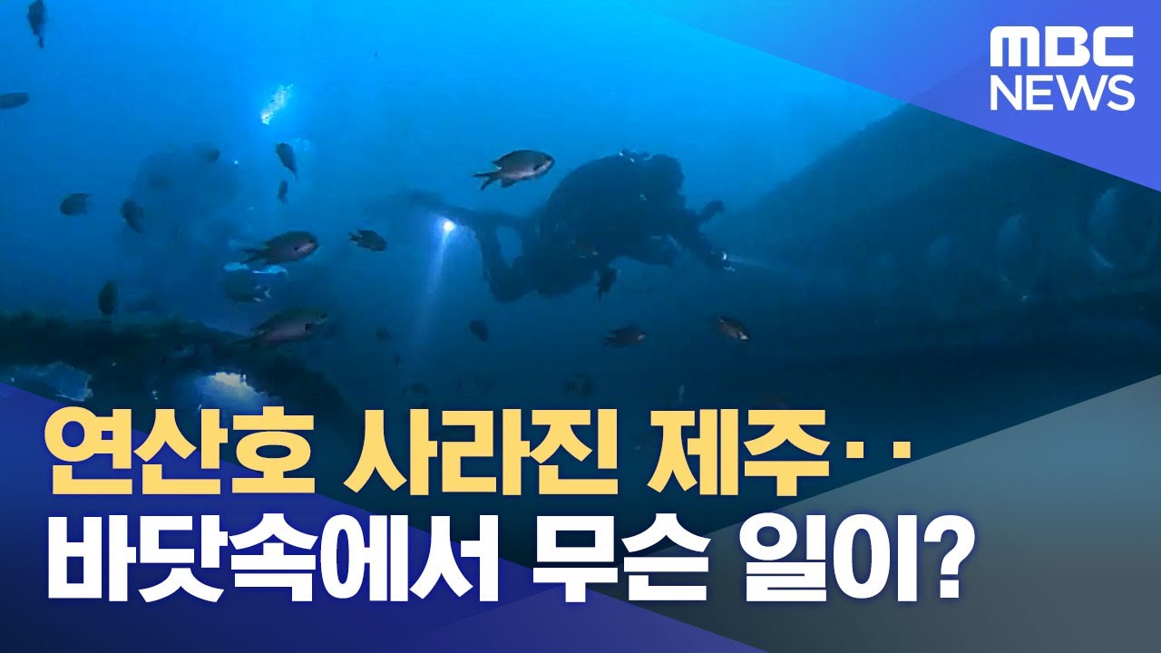 연산호 사라진 제주‥바닷속에서 무슨 일이? (2022.06.09/뉴스투데이/MBC)