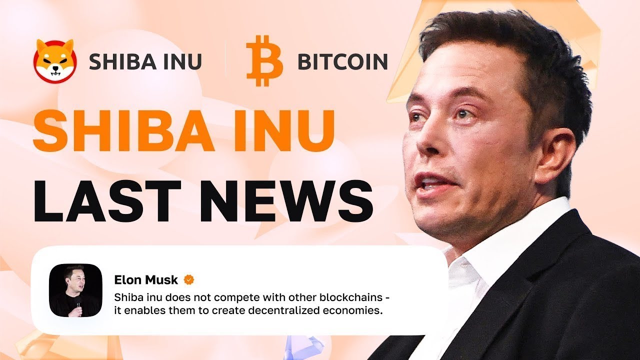 Shiba Inu: Elon Musk & SHIB Holders predict $0.001 per SHIB | Cryptocurrency NEWS